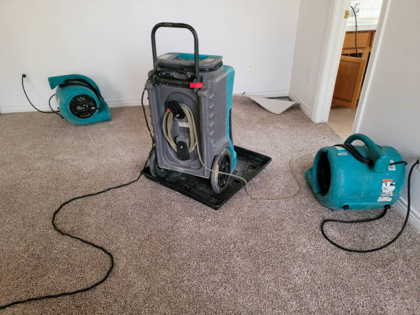 Best Mold removal after water damage  in Emporia, KS
