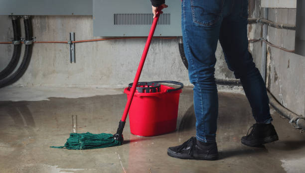 Best Fire Damage Restoration  in Emporia, KS