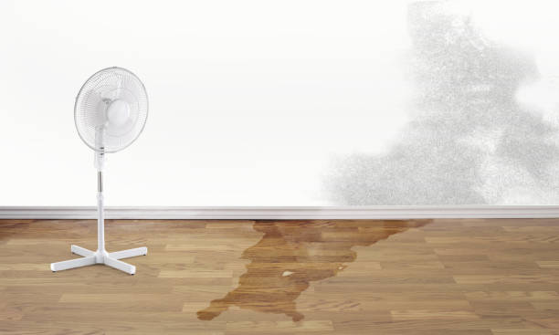 Best Water damage restoration near me  in Emporia, KS