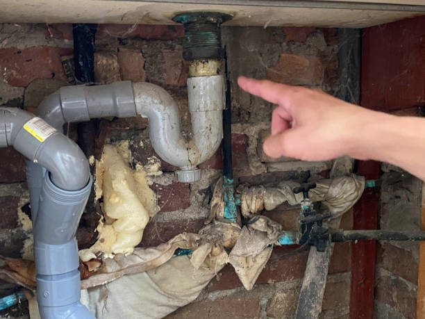 Best Flooded house restoration  in Emporia, KS