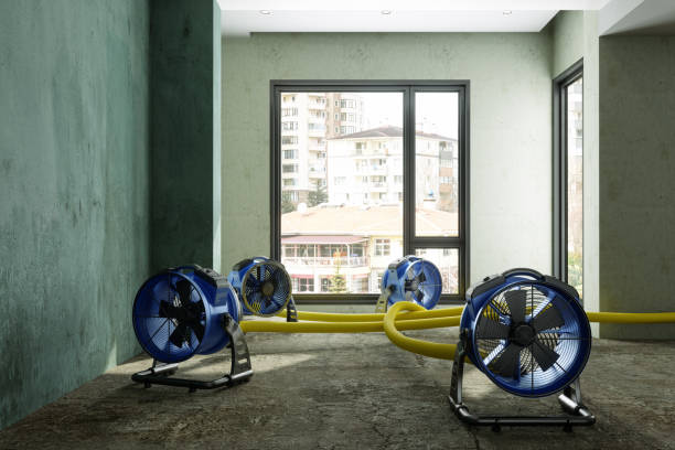 Best Mold removal after water damage  in Emporia, KS